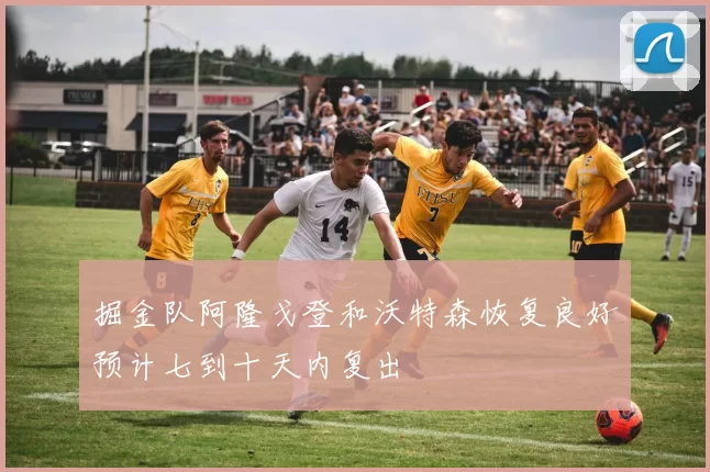 掘金队阿隆戈登和沃特森恢复良好预计七到十天内复出